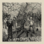 Review: Diamond Dogs - Diamond Dogs